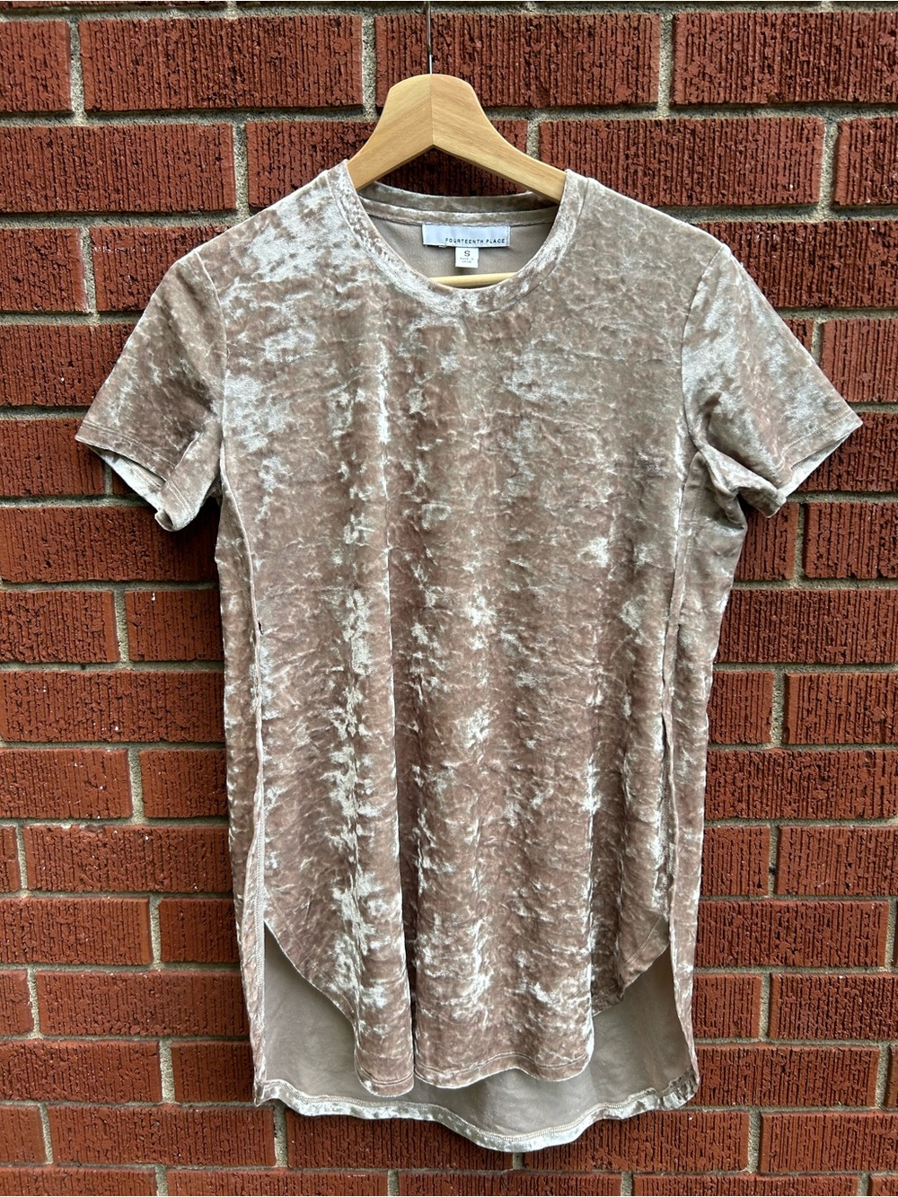 Fourteenth Place Crushed Velvet Tunic Top | Taupe Beige Velour Tee | Size Small